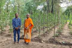 karuna-samadhi-patenbrief-2026-jan-G